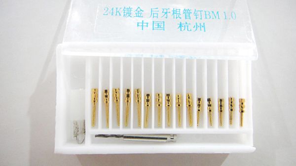 后牙根管釘